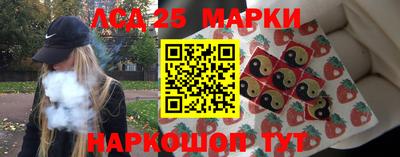 шишки Кингисепп