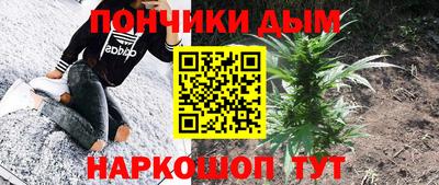 шишки Кингисепп