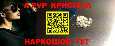 шишки Кингисепп