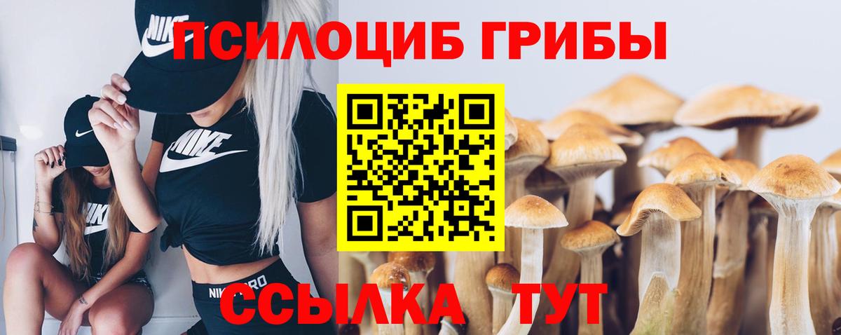 Канаш  Псилоцибиновые грибы мухоморы  Вход с VPN  Галлюциногенные грибы Magic Shrooms 
